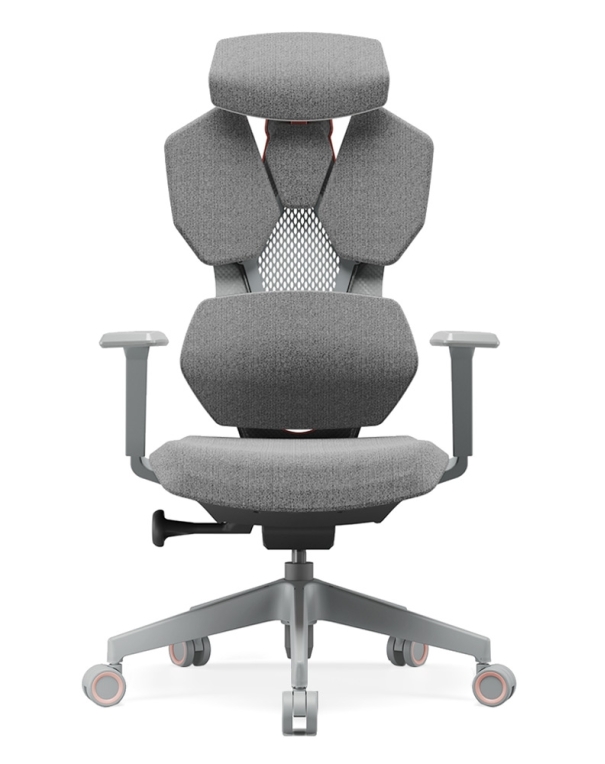 Astron Pink with Grey Frame Ergonomic Gaming Chair